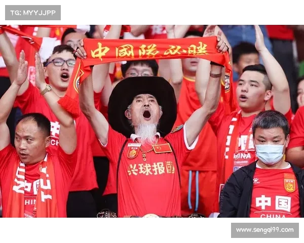 中超各大主场介绍与球迷文化：深度探析中国足球独特魅力